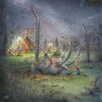 circus Elephant