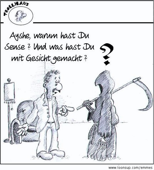 Cartoon: Verschleierungsirrtum 1