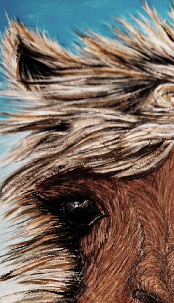 Illustration: A wie Arthur das Alpaka 4