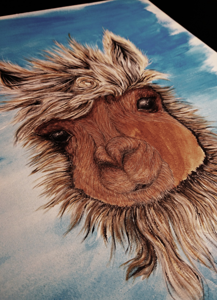 Illustration: A wie Arthur das Alpaka 5
