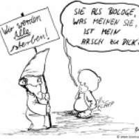 teddy und dose