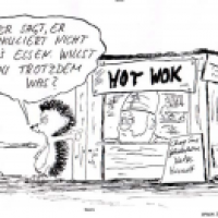 Hot Wok