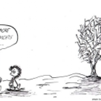 kleine wunder