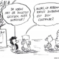 Profi