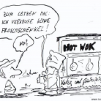 Katze und Glückskekse