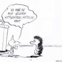 Zwiebel