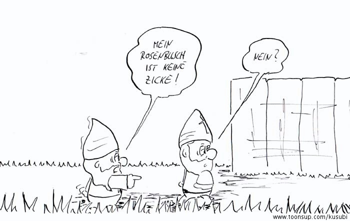 Comic: Rosen mitbringen wäre Quatsch 2