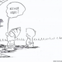nach Süden