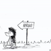 Afrika