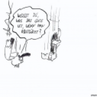 Halbwissen