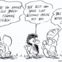 Das Jahr des Bären