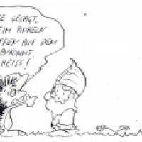 Was für die Fliegen