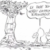 In Sachen Herbst