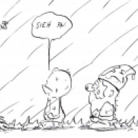 die überleben
