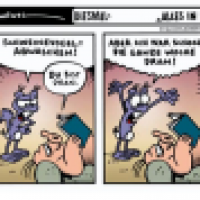 Alles in einem Abwasch