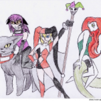 Catwoman, Harley Quinn und Poison Ivy als NInjas...