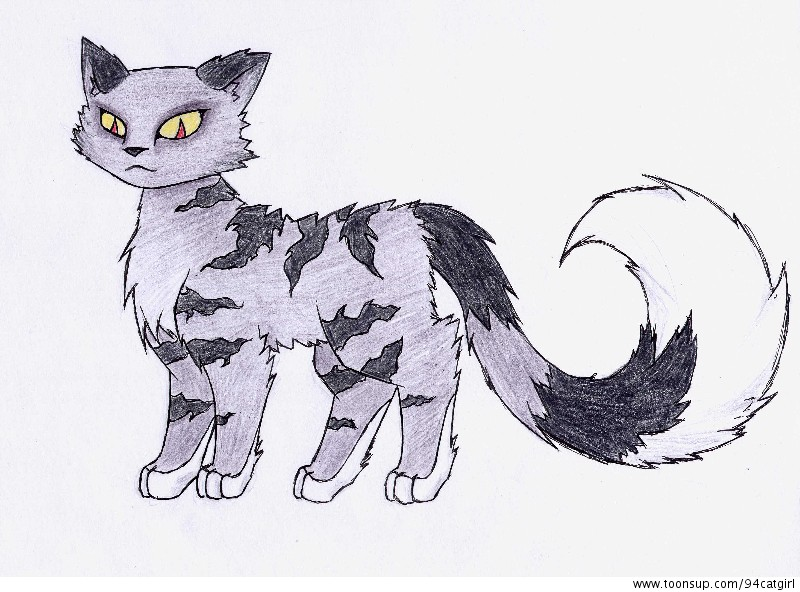 Illustration: MacTiger 1
