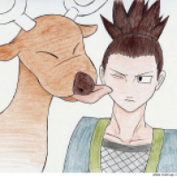 Shikamaru und Damhirplex