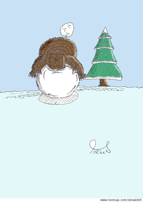 Cartoon: Schnee Bär 1