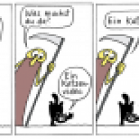 Paradieser: Katzenvideo