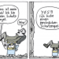 Paradieser: Sturz
