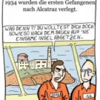 11. August