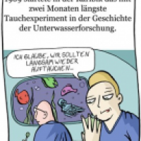 15. Februar