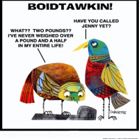 Cartoon: BOIDTAWKIN! 1
