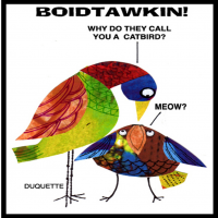 Cartoon: BOIDTAWKIN! 5