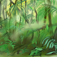 Urwald