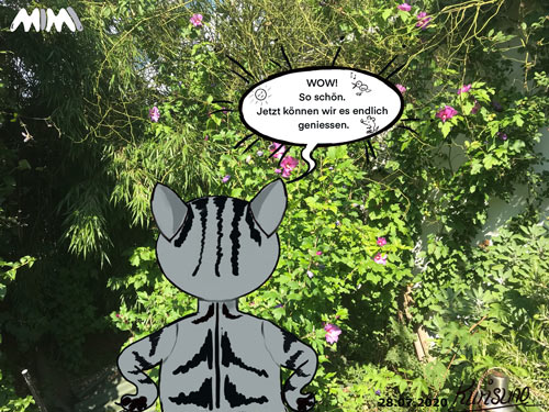 Cartoon: Och wie schön 1