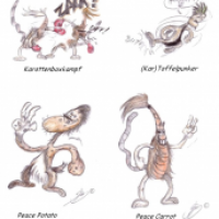 Kartoffeln & Karotten