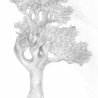 Baum auf Wiese