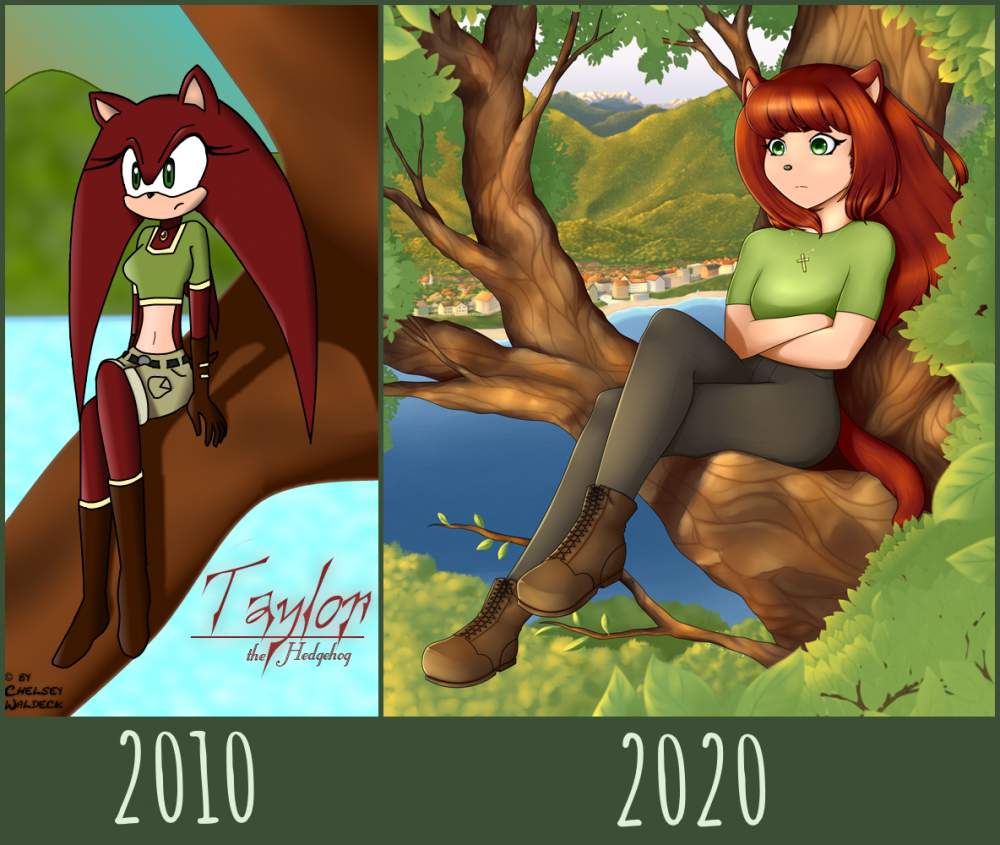 Illustration: Redraw 2010 - 2020 1