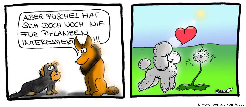Cartoon: Dogs in Love 1