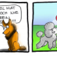 Dogs in Love
