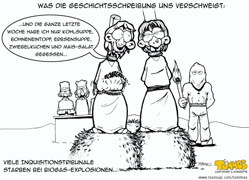 Cartoon: Am Scheiterhaufen 1