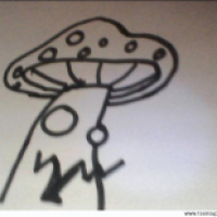 pilz