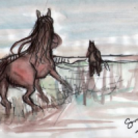 The Journey