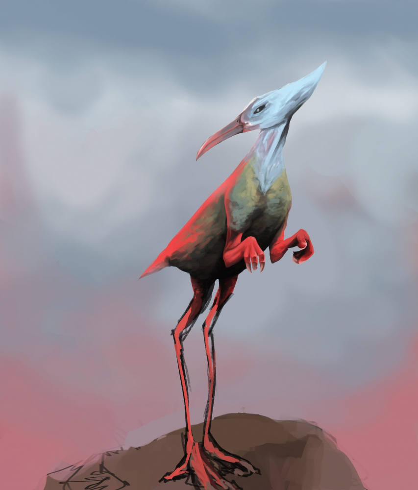 Other: Raspy the bird 1