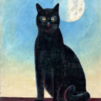 Mondkatze