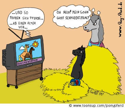 Cartoon: Pferde und Schmuddelfilme 1