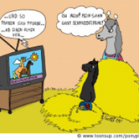 Pferde und Schmuddelfilme