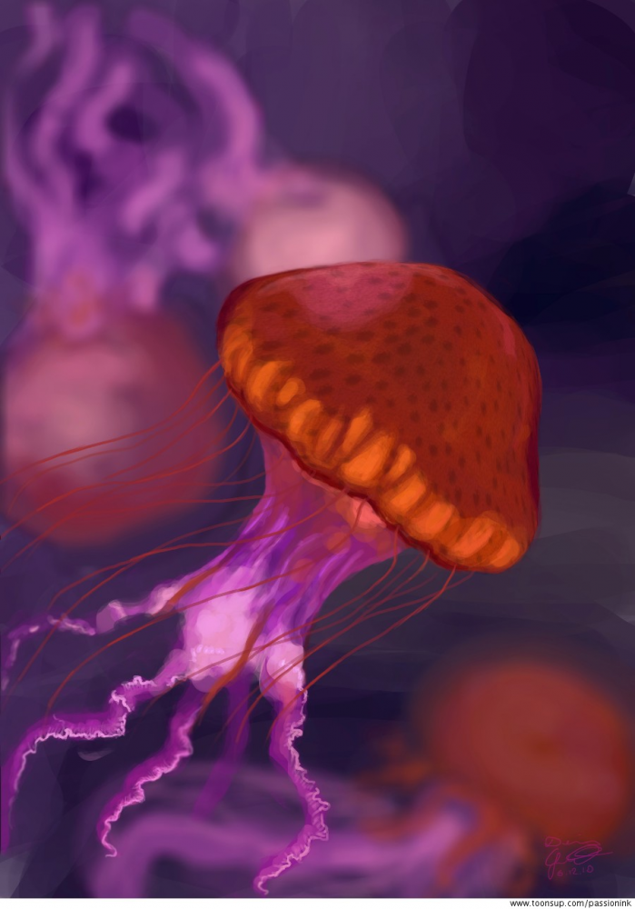 Illustration: Quallen 1