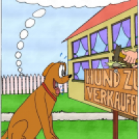 Vorsicht, Hund!