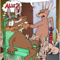 Hasen bei der Scheidung