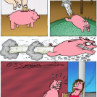 list.png
