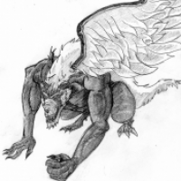 Originalname : BWN Blackwinged Neotu