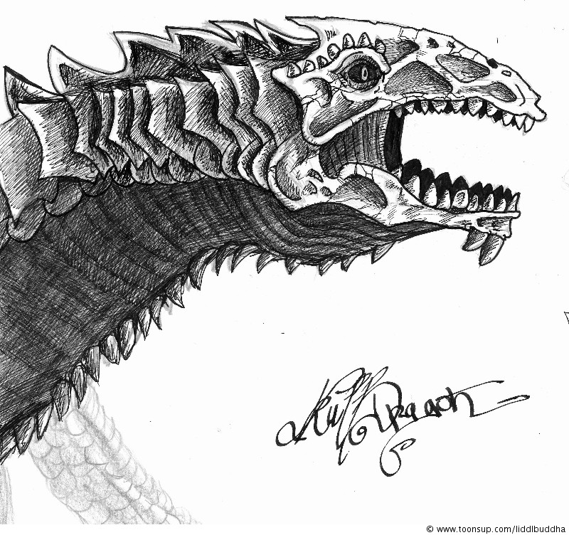 Concept Art / Character Design: SkullDragon 2