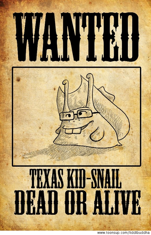 Illustration: Texas Kid-Snail 1